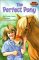 The Perfect Pony cover