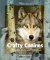 Crafty Canines : Coyotes, Foxes, and Wolves cover