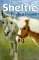 Sheltie Finds a Friend cover