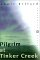 Pilgrim at Tinker Creek cover
