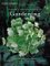 Taylor's Master Guide to Gardening cover