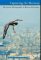 Capturing The Moment : The Sports Photography Of Barton Silverman cover