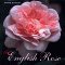 The English Rose cover