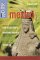 Fodor's Upclose Mexico cover