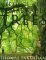 Meetings With Remarkable Trees cover