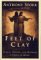 Feet of Clay : The Power and Charisma of Gurus cover