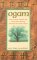 Ogam : How to Read, Create, and Shape Your Destiny through the Celtic Oracle cover