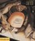 Stanley Spencer cover