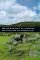 The Archaeology of Landscape : Studies Presented to Christopher Taylor cover