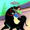 Mulan cover