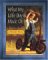 What My Little Boy Is Made Of : A Memory Book cover
