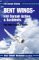 Bent Wings - F4U Corsair Action and Accidents : True Tales of Trial and Terror cover