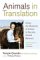 Animals in Translation : Using the Mysteries of Autism to Decode Animal Behavior cover