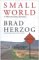 Small World cover