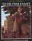 The Selfish Giant cover