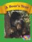 A Bear's Year : Set C cover