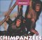 Chimpanzees cover