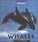 Whales cover