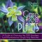 Care-Free Plants : A Guide to Grow the 200 Hardiest Low-Maintenance, Long-Living Beauties cover