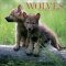 Wolves 2003 Calendar cover