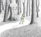 Into the Forest cover