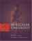 Molecular Oncology Of Breast Cancer cover
