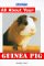 All About Your Guinea Pig cover