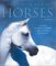 The Truth About Horses : A Guide to Understanding and Training Your Horse cover