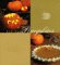 Holiday Pumpkins cover
