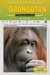 The Orangutan cover