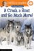 A Crash, a Roar, And So Much More! cover