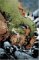 Hulk Thing : Hard Knocks cover