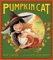 Pumpkin Cat cover
