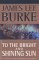 To the Bright and Shining Sun : A Novel cover