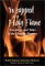 Wrapped in a Holy Flame : Teachings and Tales of the Hasidic Masters cover
