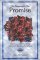 The Presence in the Promise : First Lesson Sermons for Advent/Christmas/Epiphany Cycle C cover