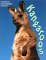 Animal Safari : Kangaroos cover