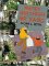 Happy Birthday Mr. Kang cover