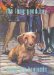 The Long Good Boy : A Rachel Alexander and Dash Mystery cover