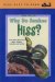 Why Do Snakes Hiss? : And Other Questions About Snakes, Lizards, and Turtles cover