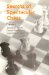 Secrets of Spectacular Chess cover