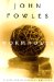 Wormholes : Essays and Occasional Writings cover