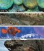 Cgi : The Art Of The 3d Computer-generated Image cover