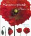 The Metamorphosis of Flowers cover