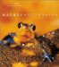 Macrophotography : Learning from a Master cover