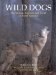 Wild Dogs : The Wolves, Coyotes, and Foxes of North America cover