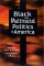 Black and Multiracial Politics in America cover