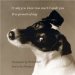 If Only You Knew How Much I Smell You : True Portraits of Dogs cover