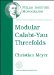 Modular Calabi-Yau Threefolds cover