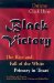 Black Victory : The Rise and Fall of the White Primary in Texas cover